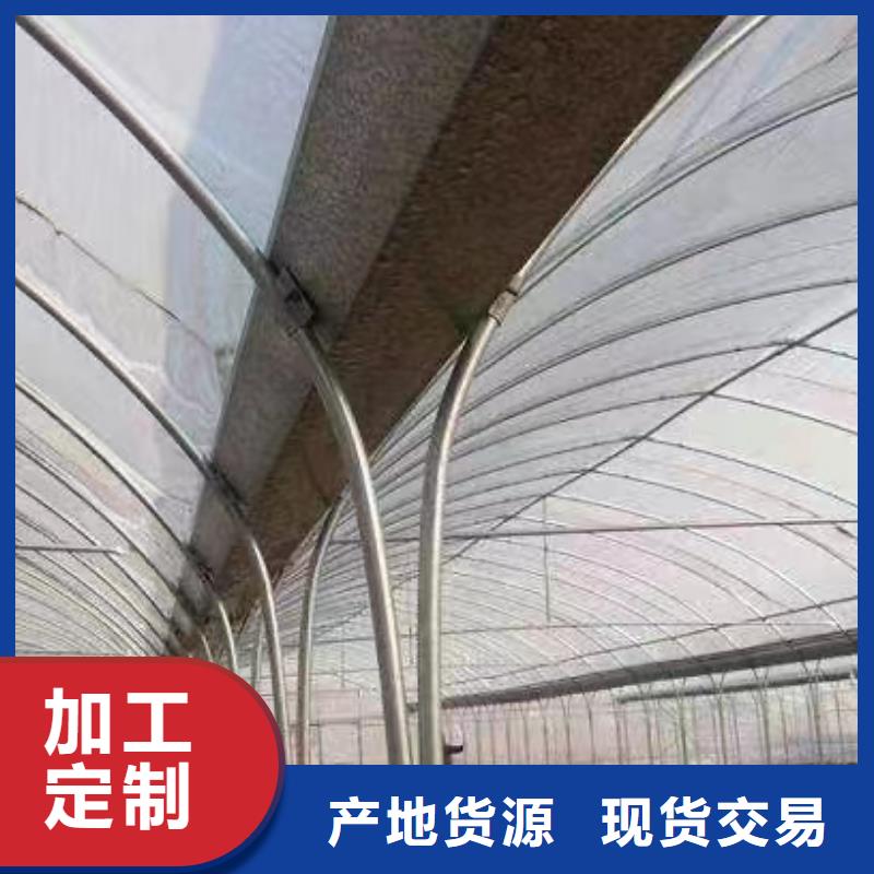 洞头区GP8432连体大棚实力厂家2025--09
