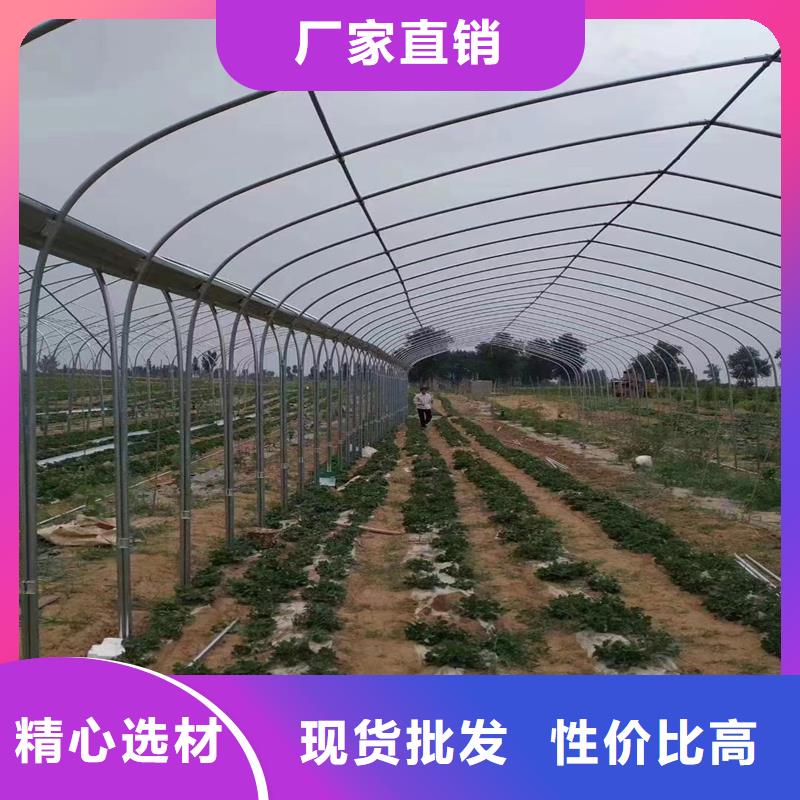 颍泉大棚防风卡槽安装视频