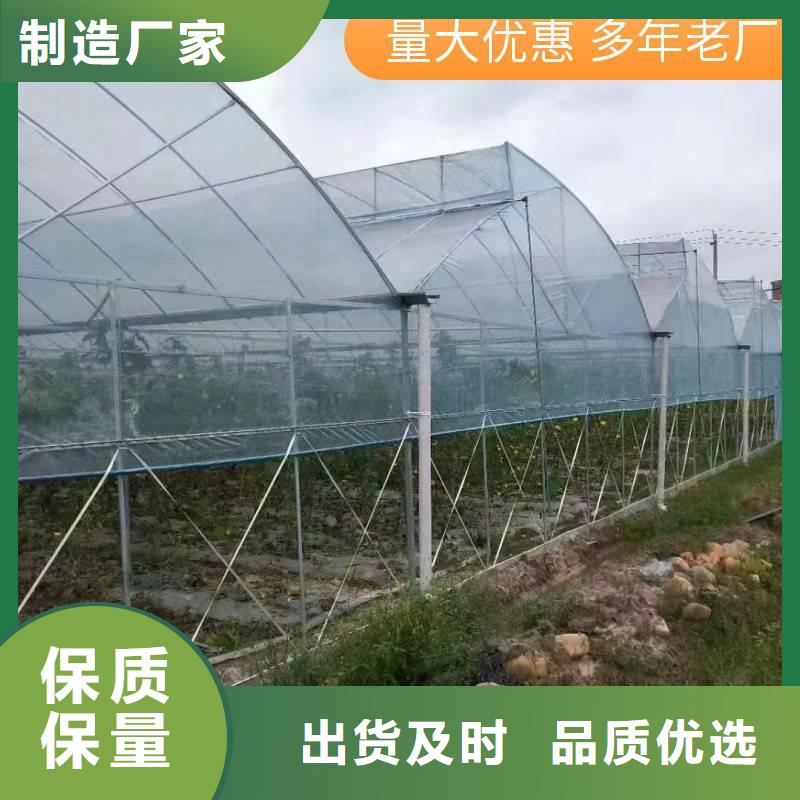 高碑店大棚防风卡槽怎么用视频
