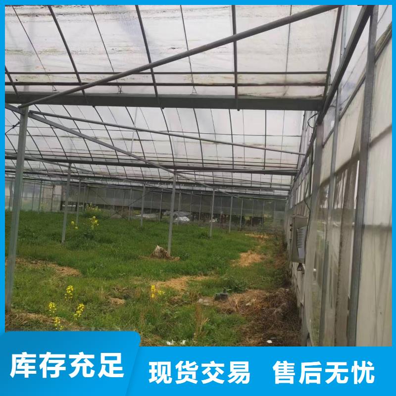 彭州市蔬菜大棚10年经验