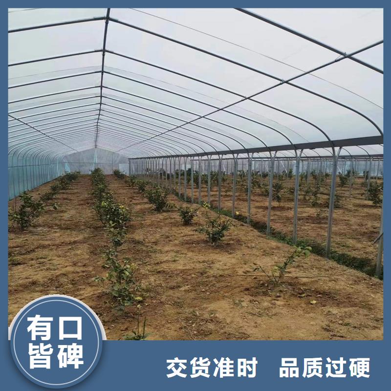 连栋温室大棚的造价公司