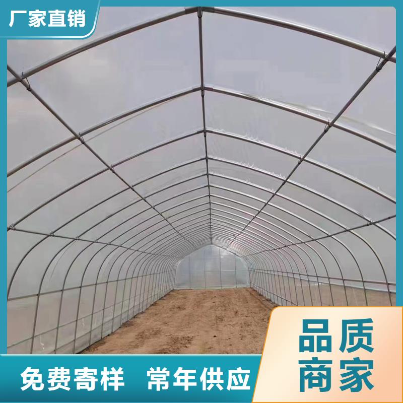 连栋温室大棚图片_价格优