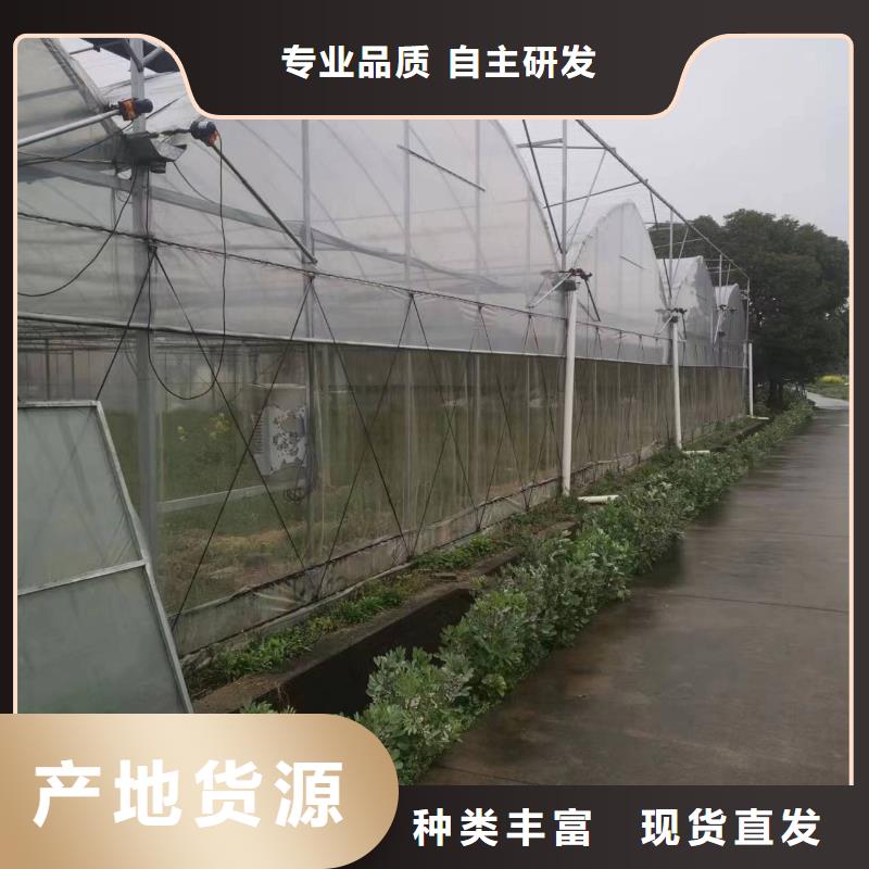 莲池区连栋温室大棚诚信厂家2025--09