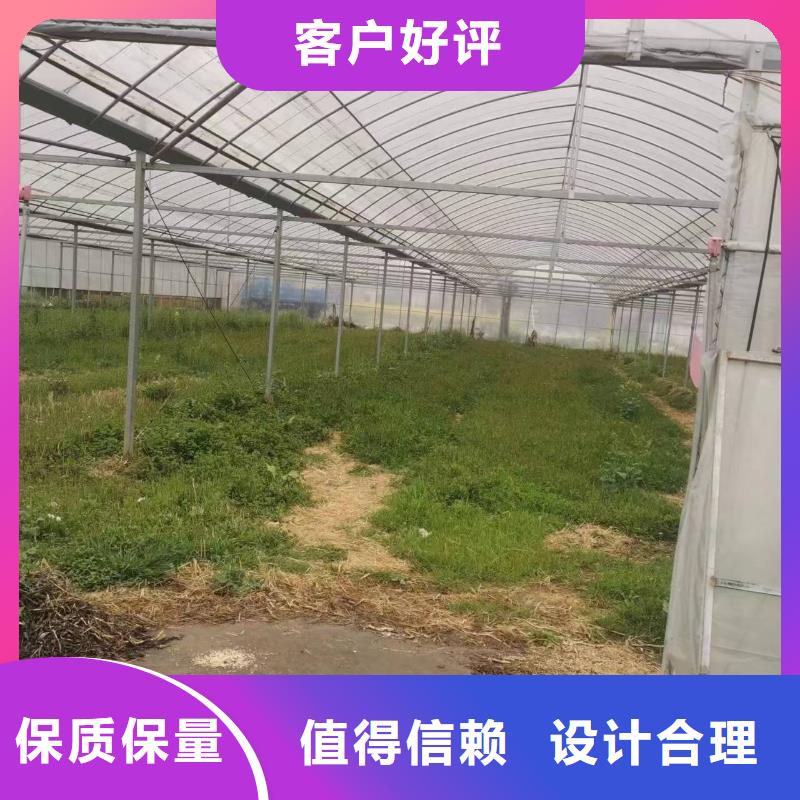 洪洞县热镀锌蔬菜大棚管现货价格