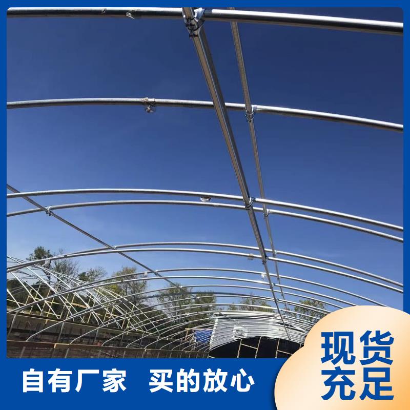 丰泽区PEP利得膜价格优惠