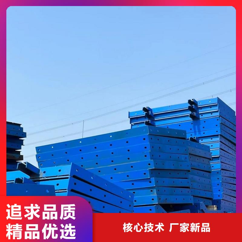 路桥护栏钢模板出租【西安红力机械】厂家批发