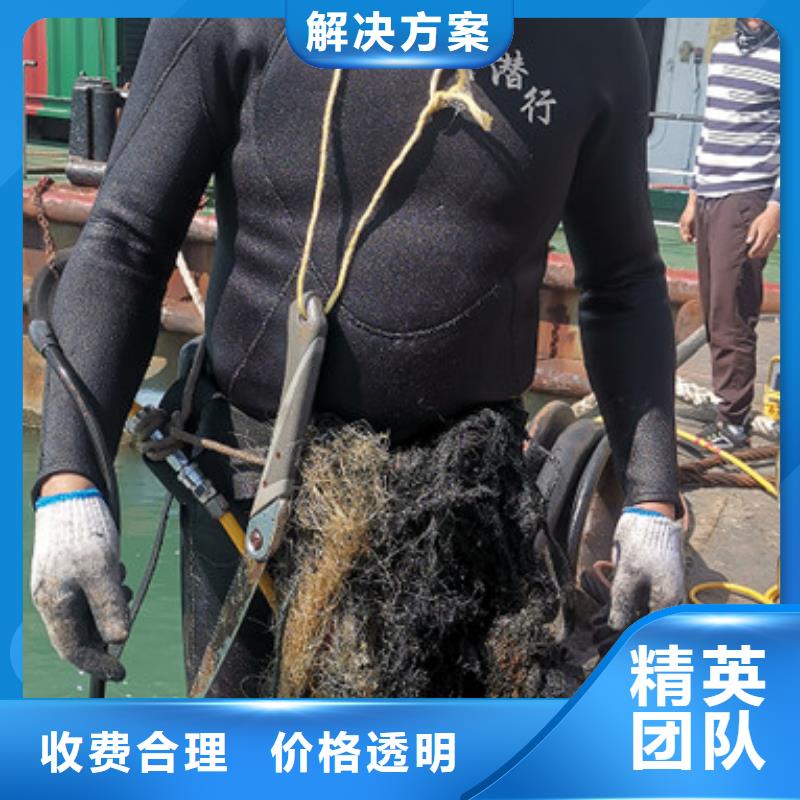 水下拍照欢迎电询