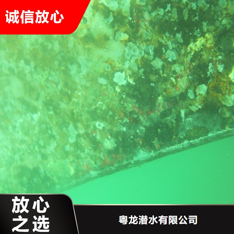 水下桩基检测值得信赖