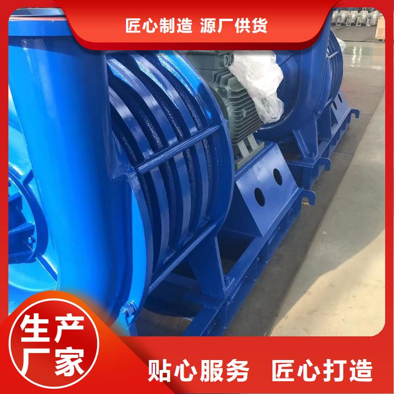 山东临风科技高压鼓风机D30-41-1.3