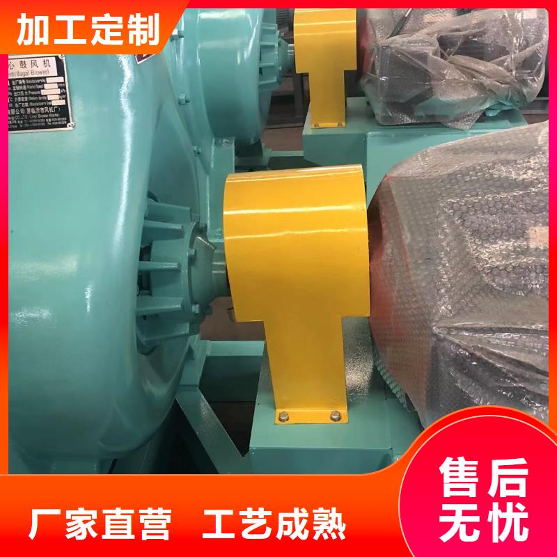 山东临风科技股份有限公司鼓风机D80-51-1.4