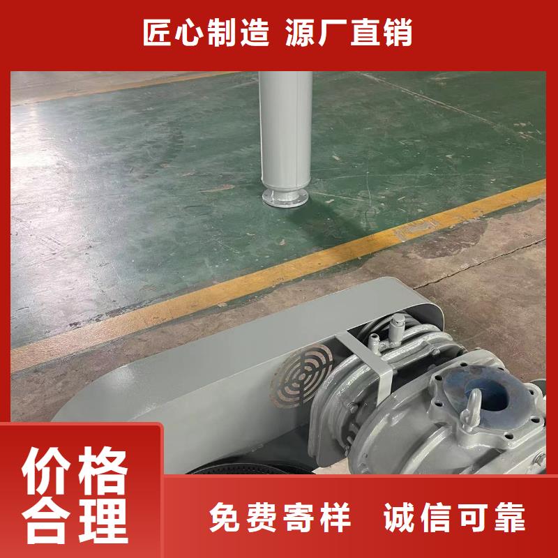 山东临风罗茨鼓风机LFSR300