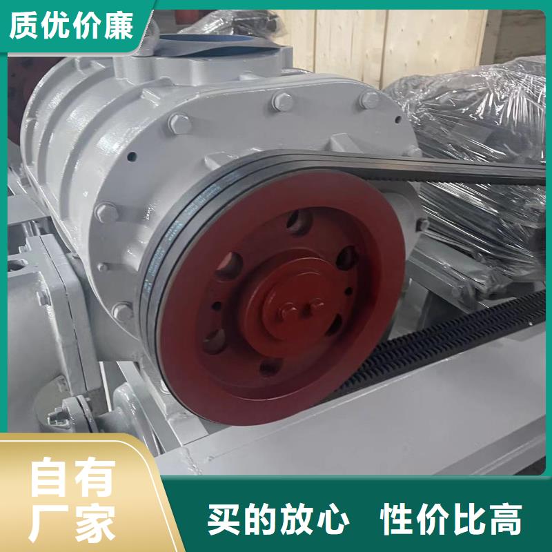 山东临风科技股份有限公司罗茨真空泵LFSR125LFSR150