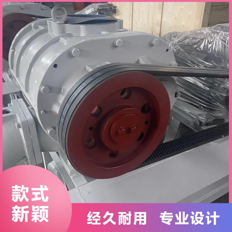 山东临风科技股份洗煤专用罗茨风机LFSR200