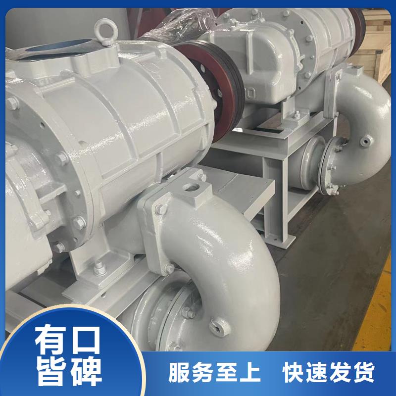 2025三叶罗茨鼓风机LFSR200