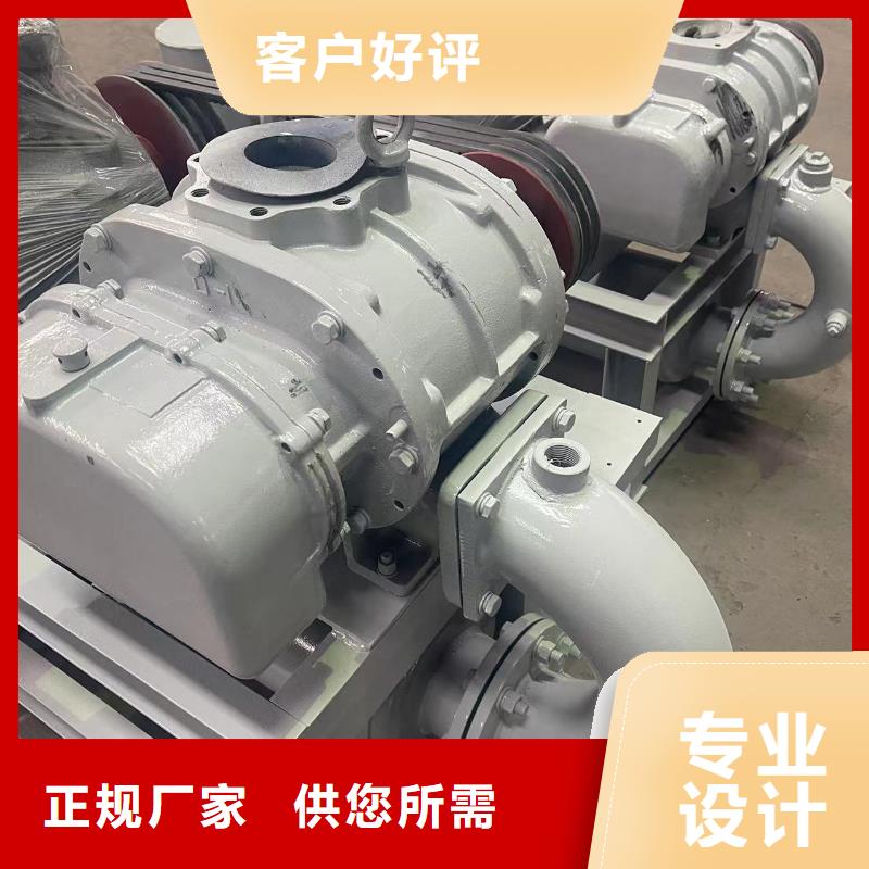 山东临风科技股份三叶罗茨鼓风机LFSR200