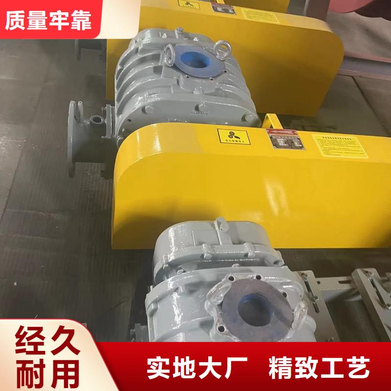 山东临风科技股份洗煤专用罗茨风机LFSR300