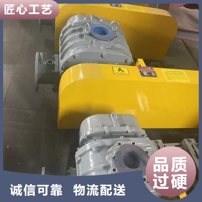 山东临风科技股份三叶罗茨鼓风机LFSR200