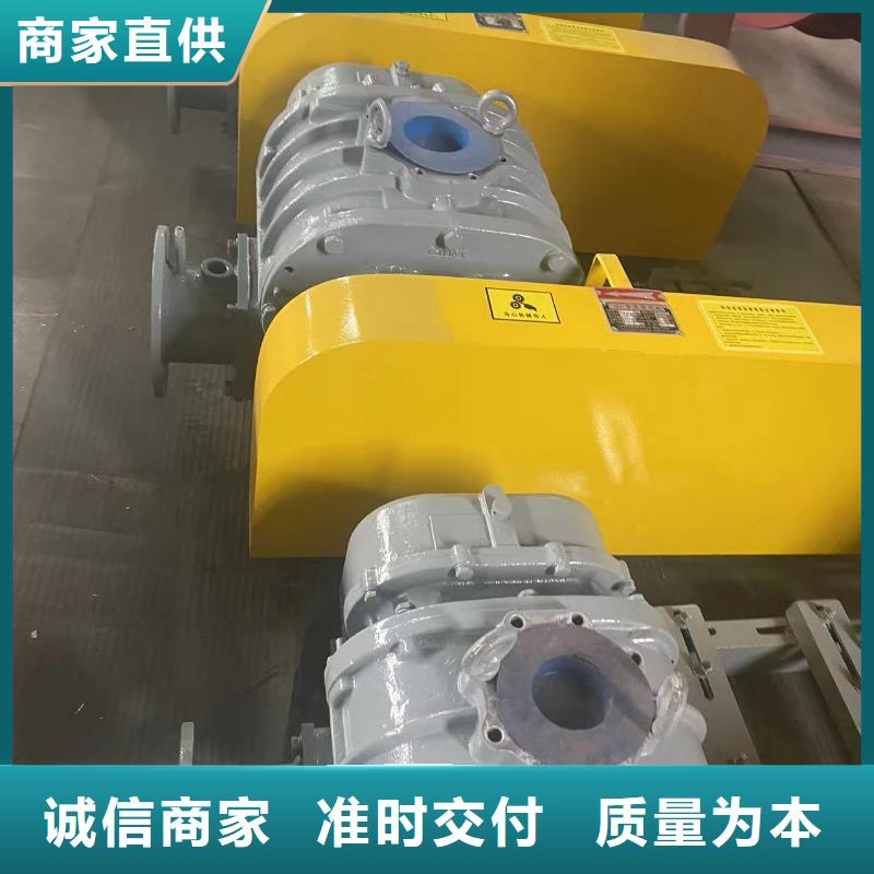 山东临风科技股份罗茨鼓风机LFSR100