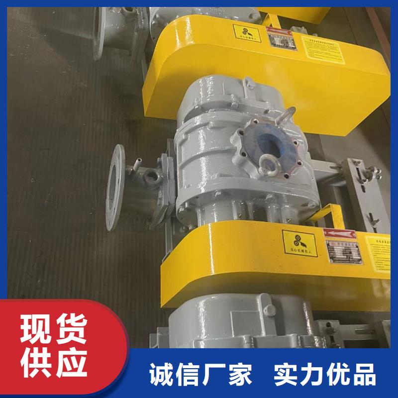 2025罗茨鼓风机LFSR100