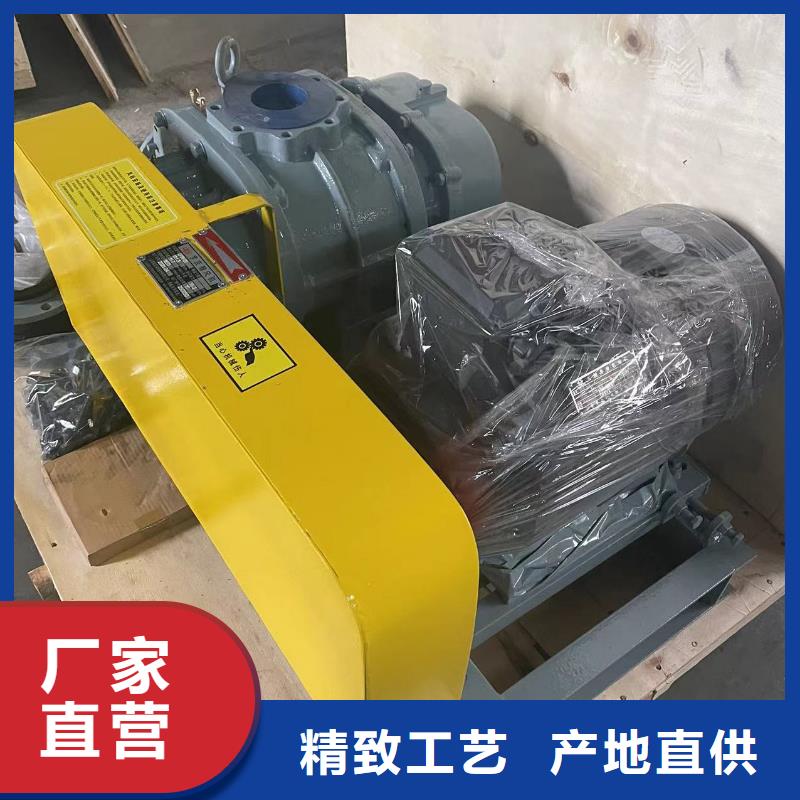 山东临风科技股份有限公司罗茨风机LFSR200