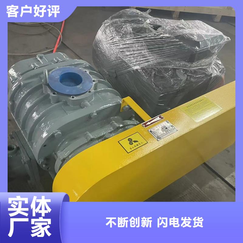 山东临风科技股份有限公司罗茨真空泵LFSR125LFSR150