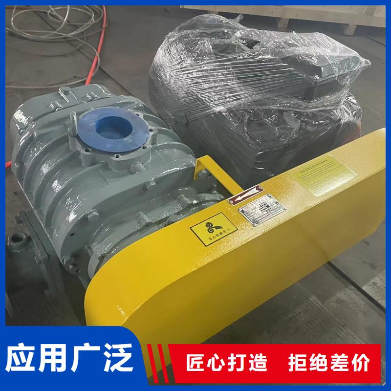 效率高三叶罗茨鼓风机LFSR200