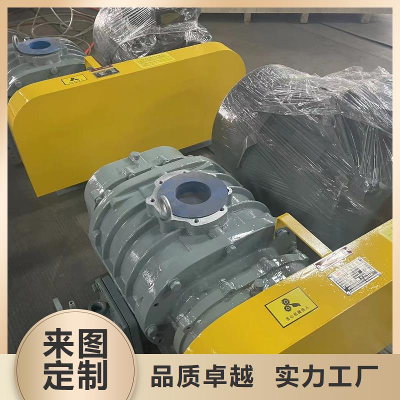 山东临风科技股份返料风机LFSR300