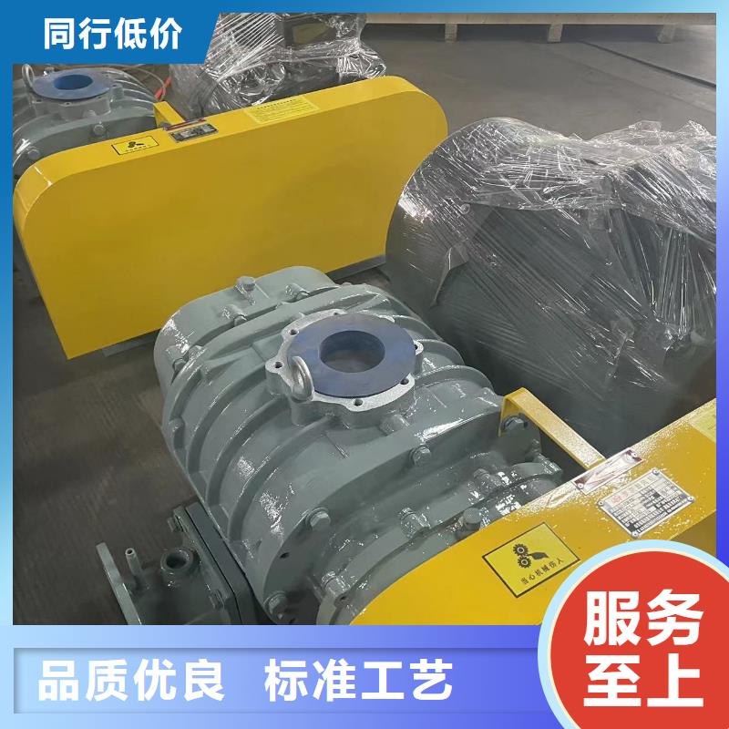 山东临风科技股份有限公司罗茨鼓风机LFSR250