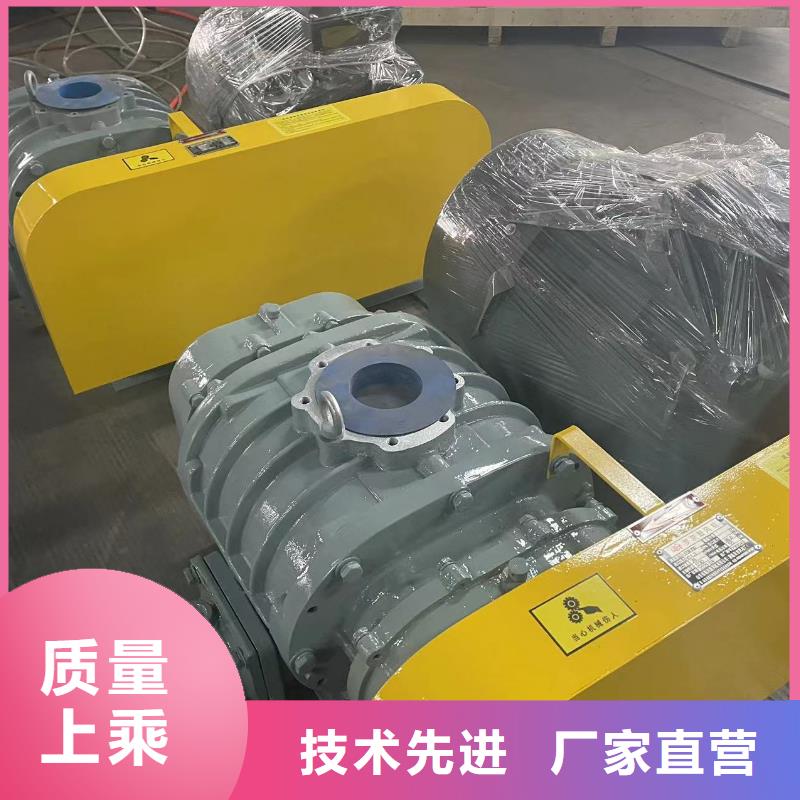 山东临风科技股份有限公司罗茨鼓风机LFSR300