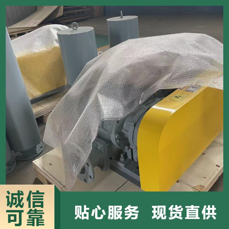 2025三叶罗茨鼓风机LFSR100