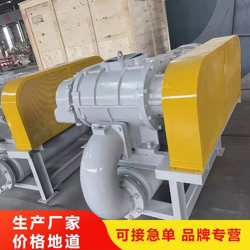 山东临风科技股份有限公司两叶罗茨风机LFSR100