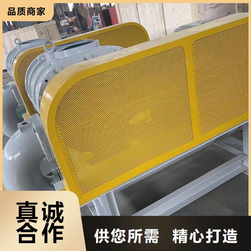 山东临风科技股份有限公司罗茨风机LFSR200