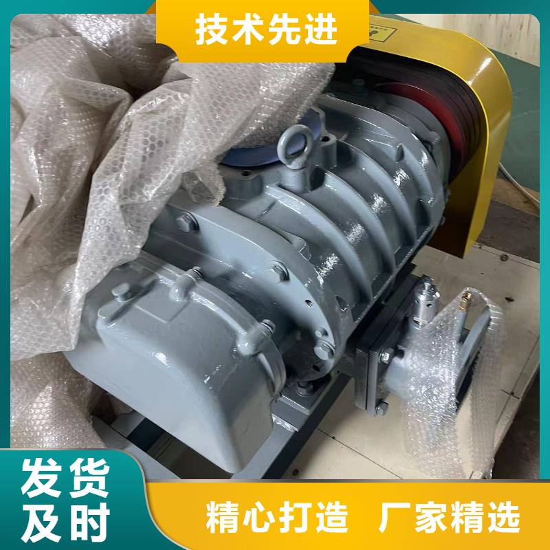 2025氧化风机LFSR100