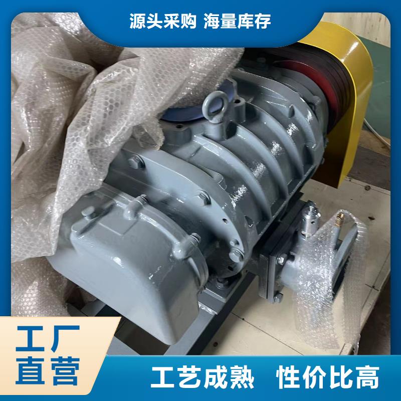 山东临风科技股份有限公司罗茨风机LFSR200
