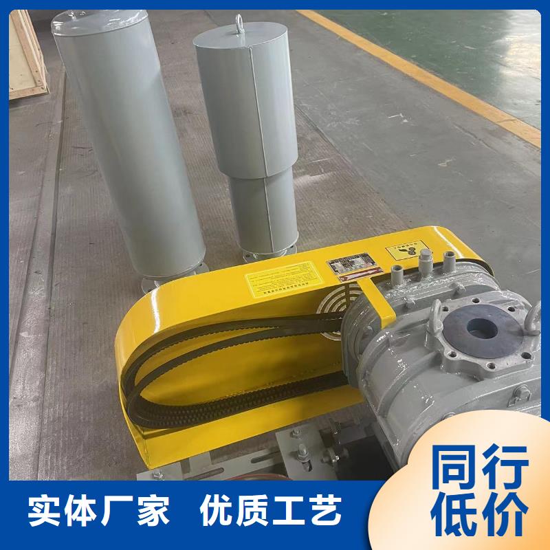 山东临风科技股份三叶罗茨鼓风机LFSR200