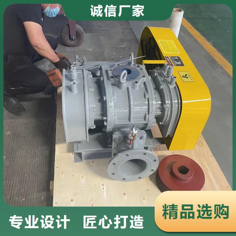 每日两叶罗茨风机LFSR300