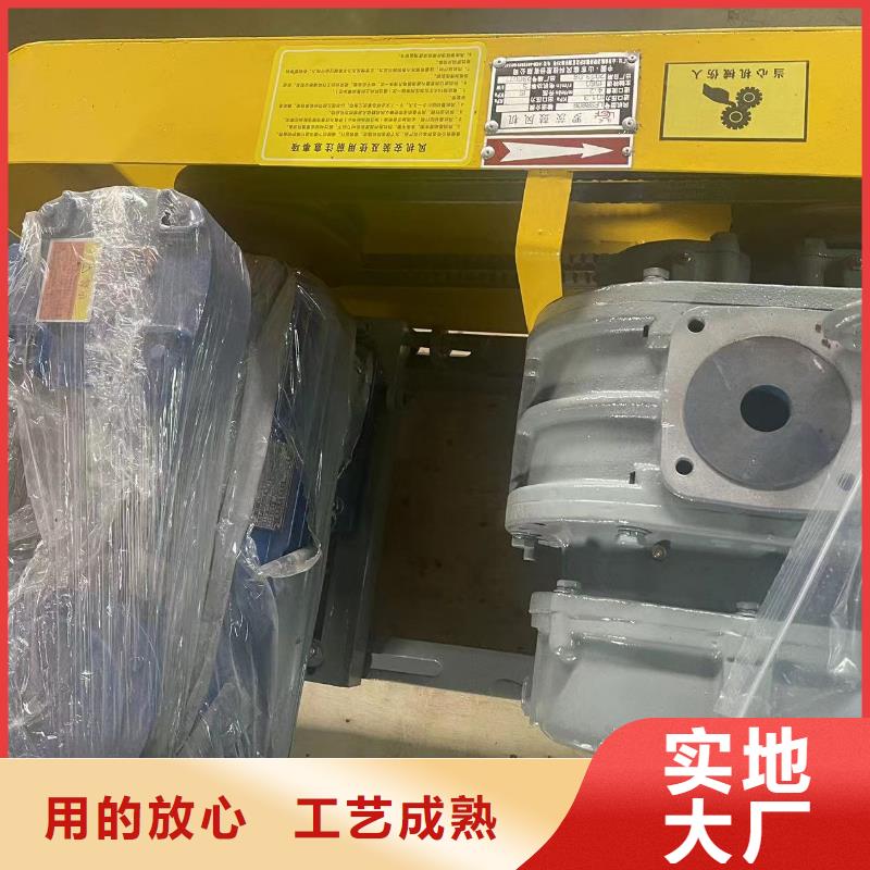 山东临风科技洗煤专用罗茨风机LFSR125