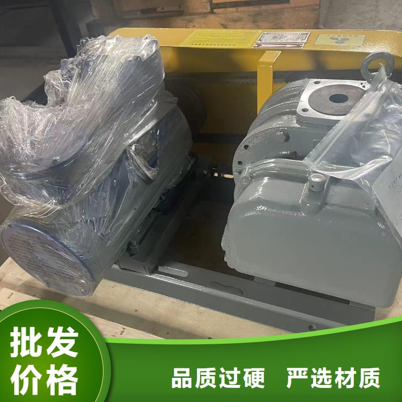 山东临风科技三叶罗茨鼓风机LFSR80
