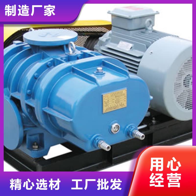 山东临风科技氧化风机LFSR125