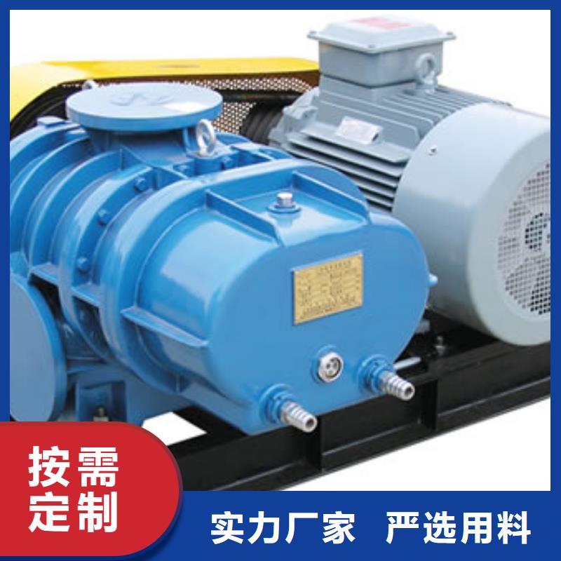 2025罗茨鼓风机LFSR125