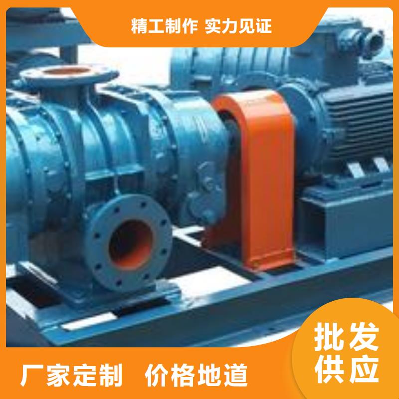 山东临风科技股份有限公司罗茨鼓风机LFSR100