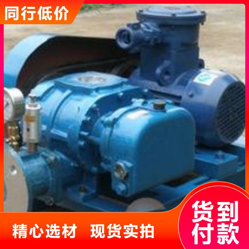 2025三叶罗茨鼓风机LFSR250