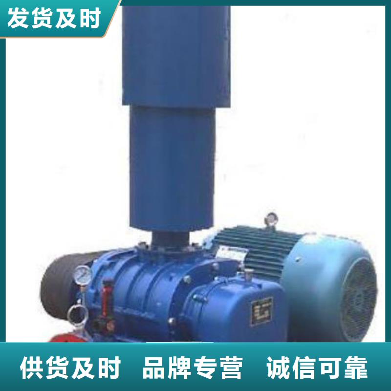山东临风科技股份L系列罗茨风机LFSR100