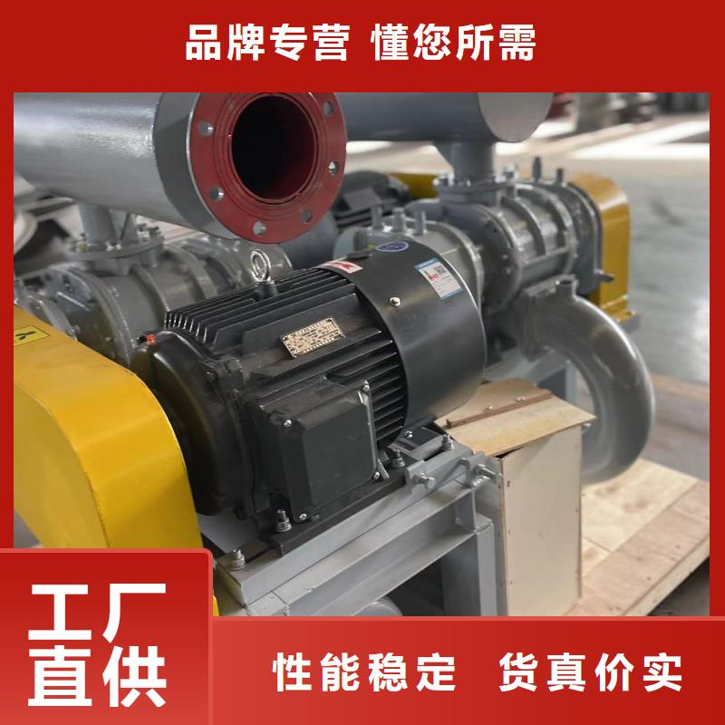 山东临风科技股份两叶罗茨风机LFSR100