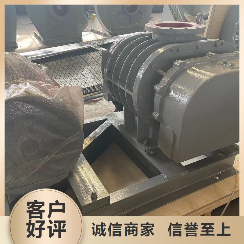2025洗煤专用罗茨风机LFSR150