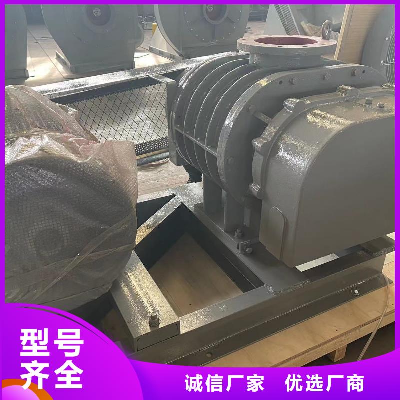 每日L系列罗茨风机LFSR200