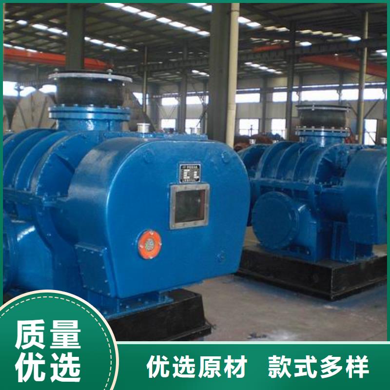 2025两叶罗茨风机LFSR100