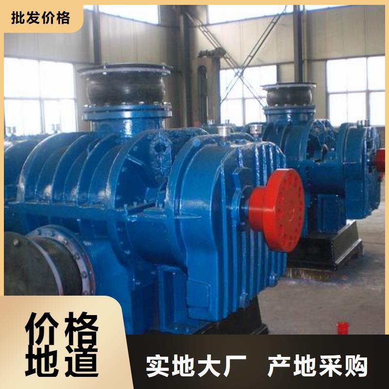 山东临风科技股份两叶罗茨风机LFSR100