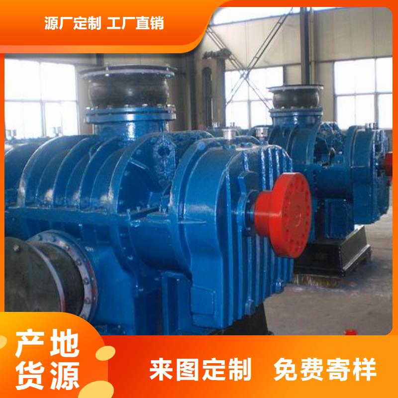 2025两叶罗茨风机LFSR100