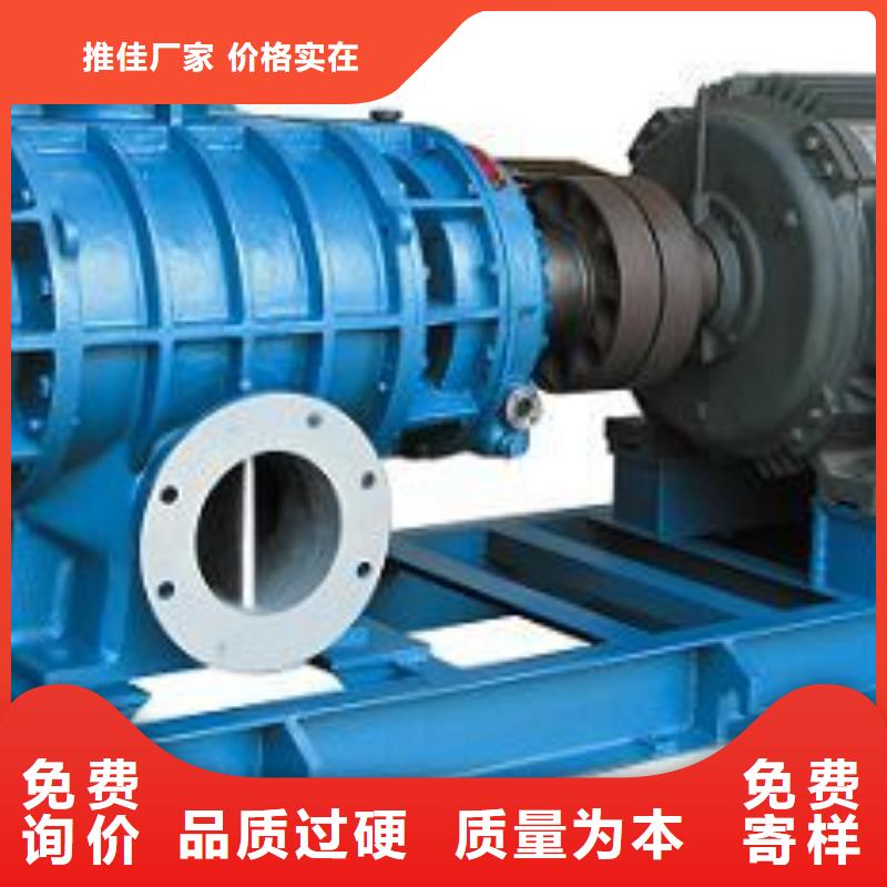 2025两叶罗茨风机LFSR80
